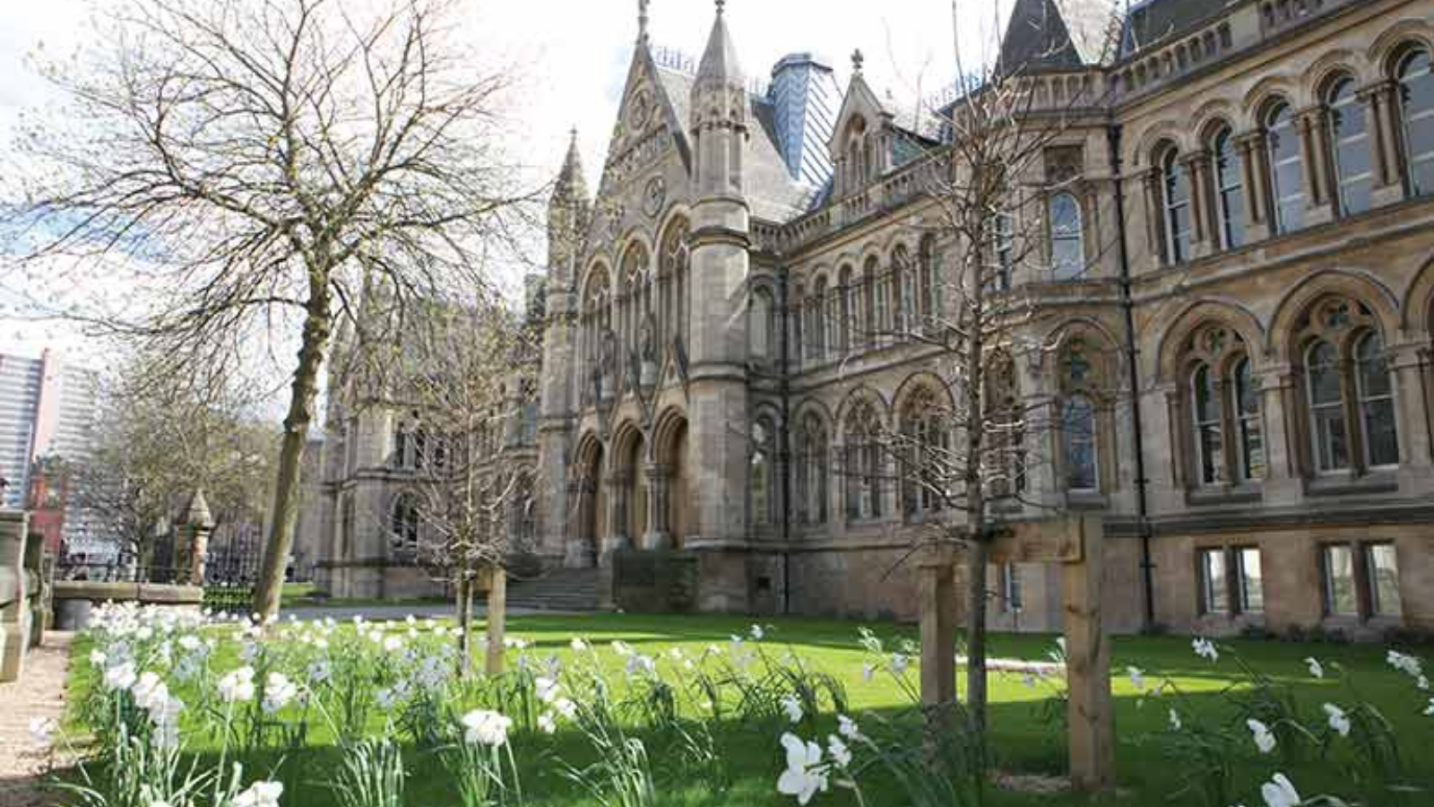 University of nottingham. Ноттингемский университет Англия. Университет Ноттингем Трент Великобритания. Университет Ноттингем Трент. В Ноттингем. Ноттингем львы университет.