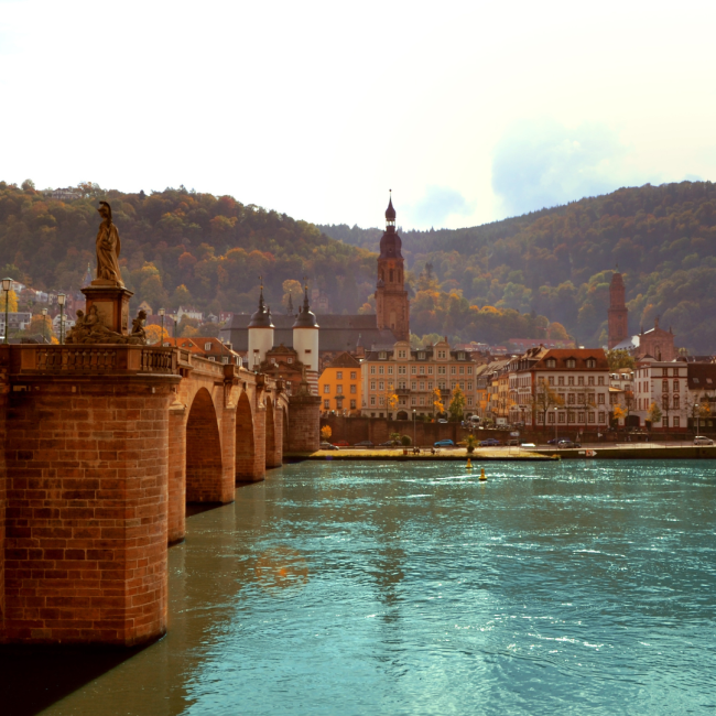 Academy of languages Heidelberg